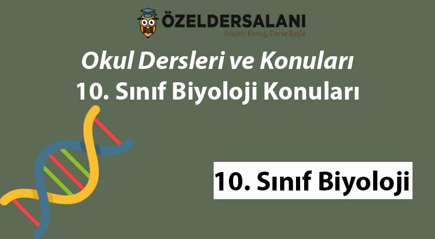 10. Sınıf Biyoloji Konuları - En Güncel Liste