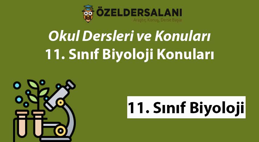 En Güncel 11. Sınıf Biyoloji Konuları Listesi