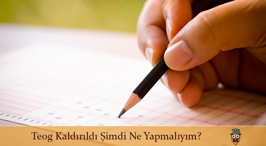 Teog Kaldırıldı Şimdi Ne Yapmalıyım ?