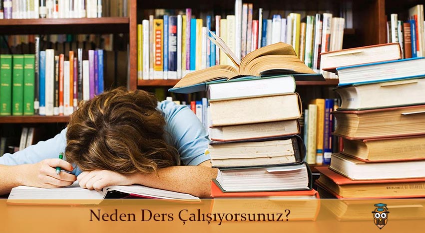 Neden Ders Çalışıyorsunuz?