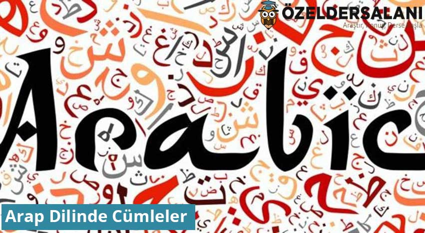 Arap Dilinde Cümleler
