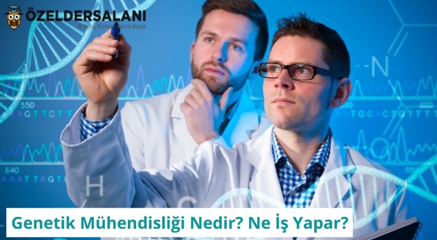 Genetik Mühendisliği Nedir? Ne İş Yapar?