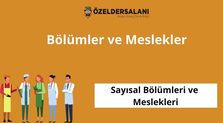 Sayısal Bölümleri ve Meslekleri
