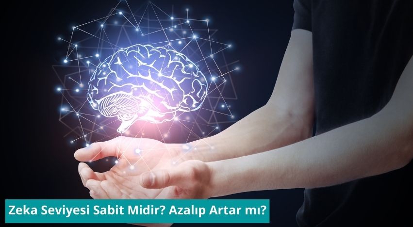 Zeka Seviyesi Sabit Midir? Azalıp Artar mı?
